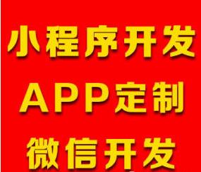重庆专业微信小程序开发