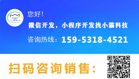 汽车小程序开发
