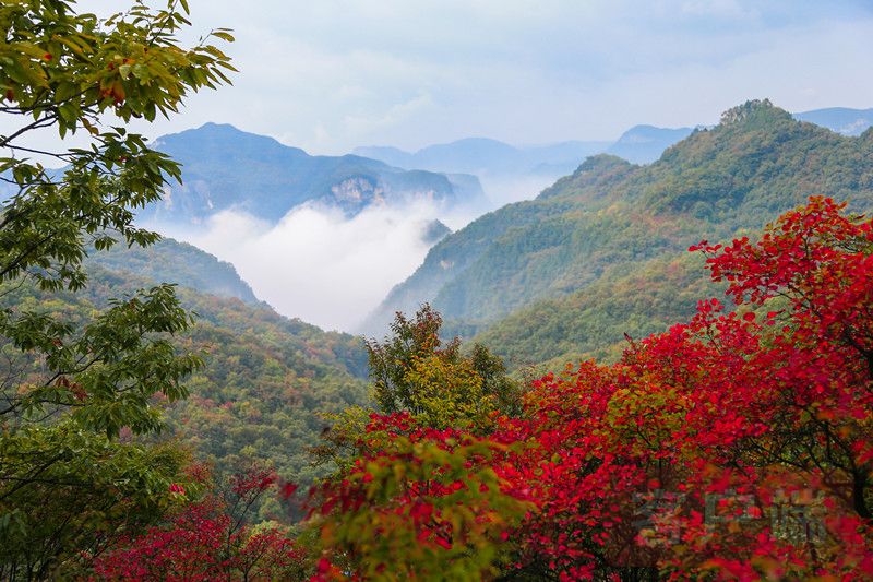 云台山景区小程序正式上线